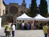Foto de la Galería